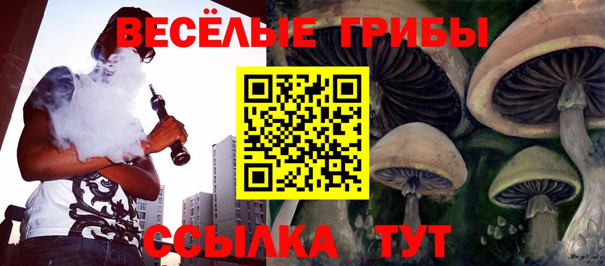 Тобольск  Псилоцибиновые грибы ЛСД  Вход с VPN 